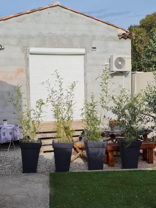 Appartement 53 M² - Pignans Au Coeur Du Var Buitenkant foto